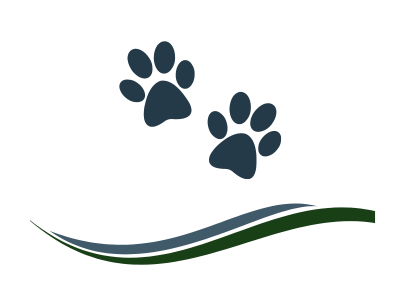 click here to learn more about our animal chiropractic services